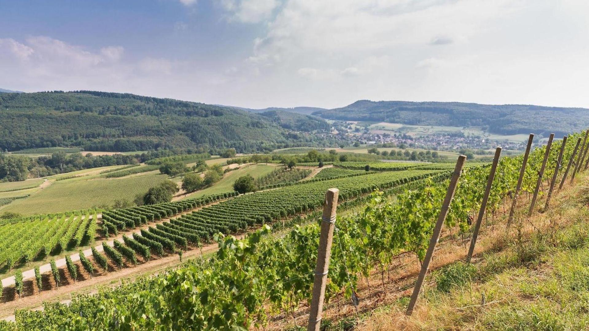 Feelfalt Cafe & Hotel Bad Bellingen Zewnętrze zdjęcie